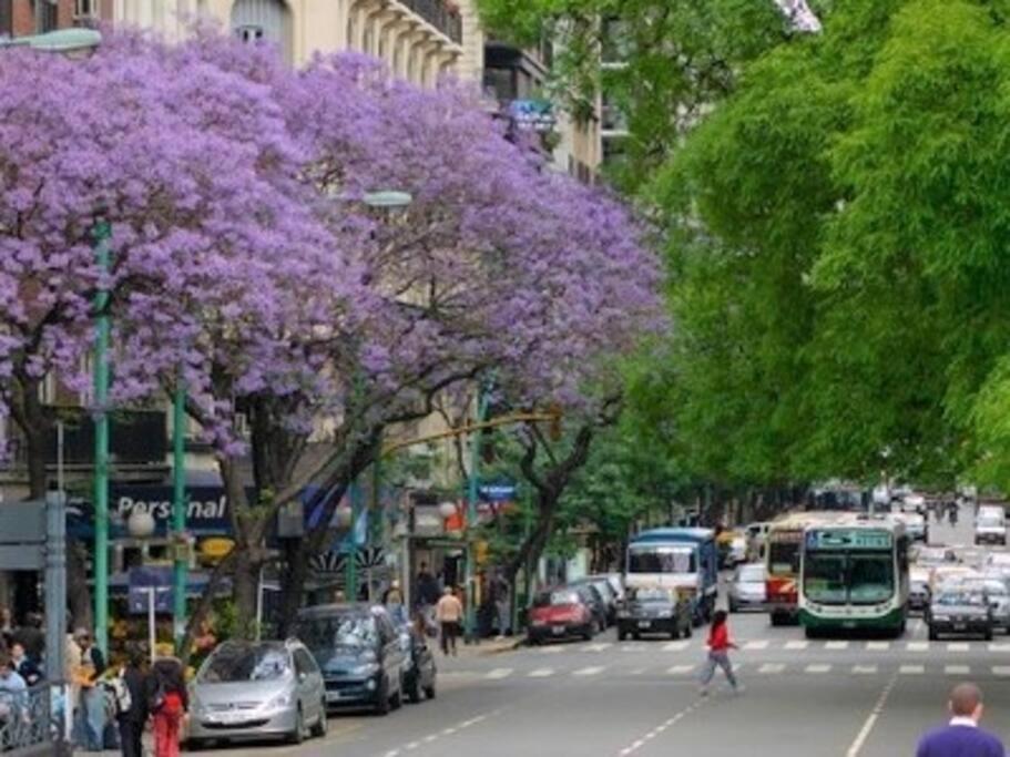 Departamento En Barrio Norte Buenos Aires Buitenkant foto